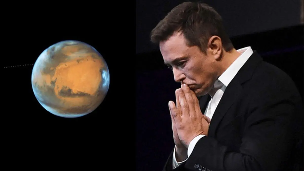 واکنش لهستان به ادعای ایلان ماسک