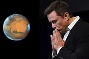 واکنش لهستان به ادعای ایلان ماسک