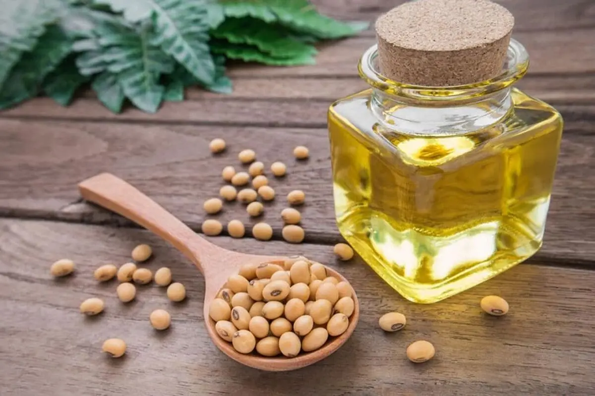 فواید و مضرات روغن سویا
