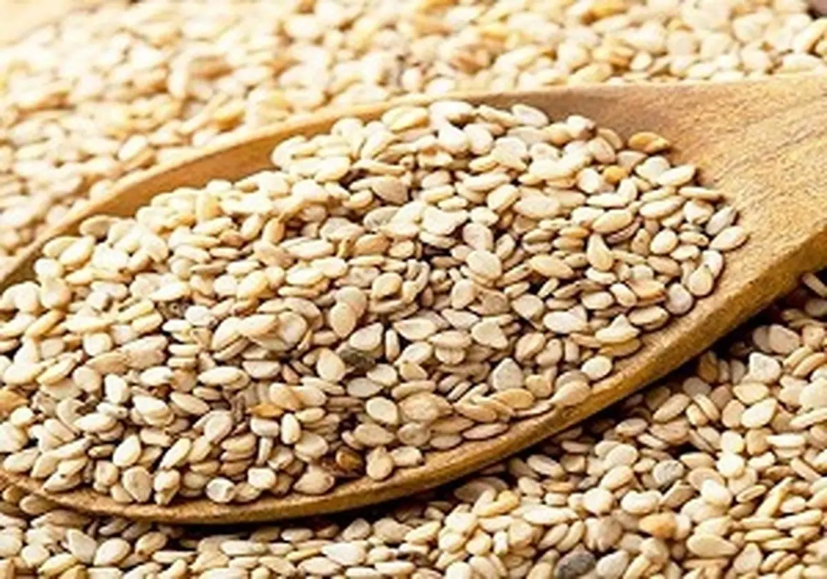 از فواید کنجد چه میدانید؟