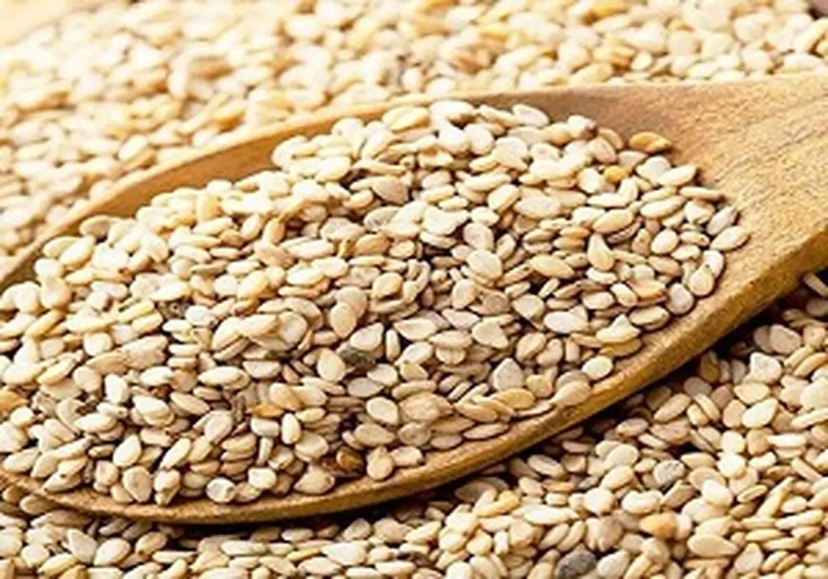 از فواید کنجد چه میدانید؟