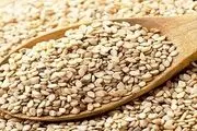از فواید کنجد چه میدانید؟