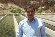 تولید سالانه 40 تن ماهی قزل آلا توسط یک سیروانی+تصاویر