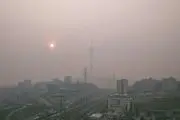 راهکار نمایندگان برای جلوگیری از مازوت سوزی
