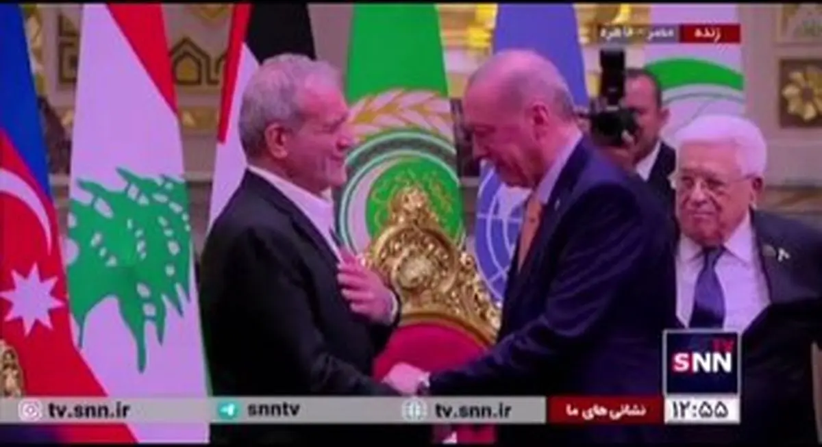 اولین عکس از پزشکیان و اردوغان در نشست مشترک در مصر