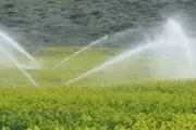 آبیاری فضای سبز در طول روز ممنوع شد