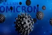 تشدید سختگیری ها در بنادر کشور برای کنترل ویروس اُمیکرون