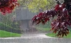 رگبار باران در ۴ استان کشور