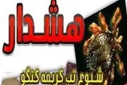تب کنگو به تهران رسید؟