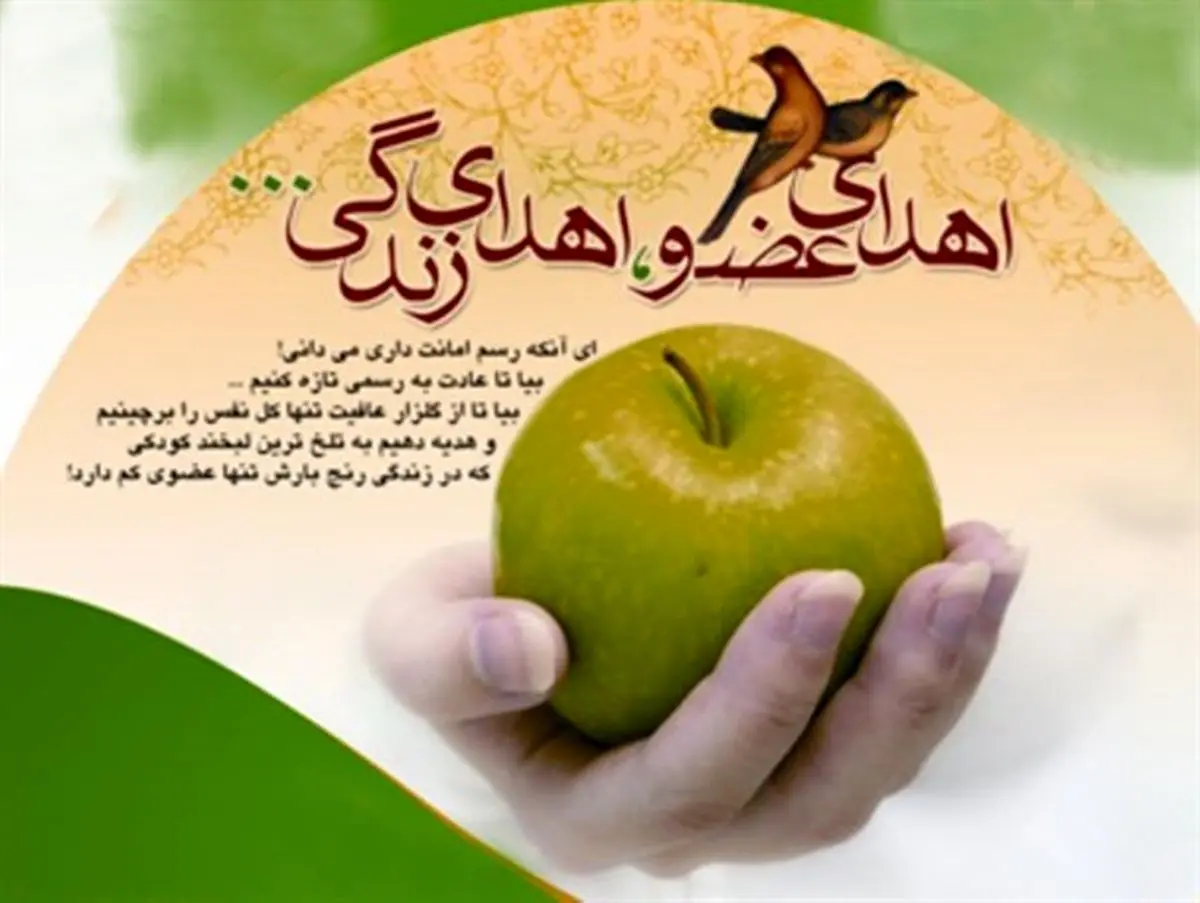 چهار عضو جوان 21 ساله مازندرانی به بیماران نیازمند اهدا شد