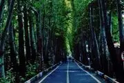  آخرین وضعیت اردوگاه شهید باهنر