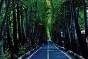  آخرین وضعیت اردوگاه شهید باهنر