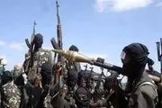 بوکوحرام ۷ نفر را در کامرون به قتل رساند