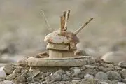 کشتار کودکان یمنی درپی انفجار مین