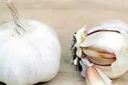 روش‌های از بین بردن بوی سیر از دهان