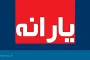 جزئیات طرح جدید دولت برای جبران حذف ارز ۴۲۰۰ تومانی+فیلم