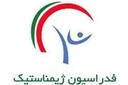 پاسخ معاون وزیر به حواشی پلمب فدراسیون ژیمناستیک