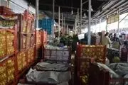 جدیدترین قیمت ۵۴ میوه و صیفی در میادین مرکزی میوه و تره بار+ جدول

