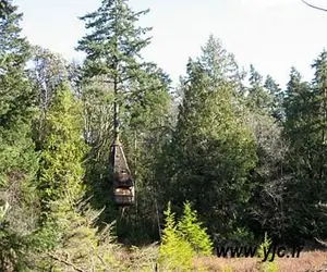 n00213780-r-b-003