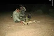 اجرای قانون مستلزم همکاری نیروی انتظامی با یگان محیط زیست