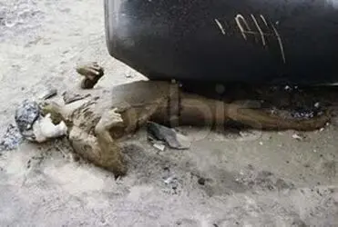شکست آمریکا در طبس