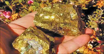 ایران به سالی ۸ تن طلا می‌رسد