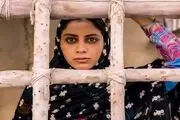 آمار فروش سینمای ایران در هفته اخیر