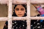آمار فروش سینمای ایران در هفته اخیر