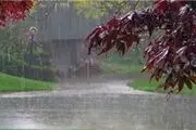 بارش باران در نیمی از استان‌های کشور