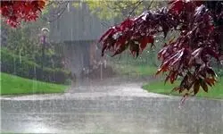 بارش باران در نیمی از استان‌های کشور