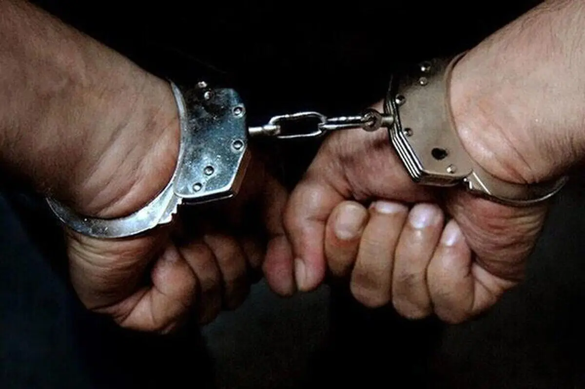 
دستگیری سارق زن تلفن همراه در کرج
