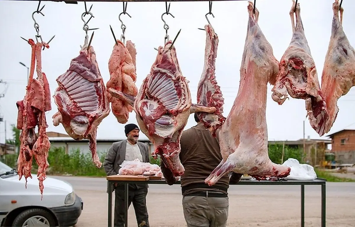 گوشت گوسفندی، امروز چند؟
