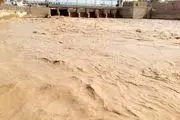 ببینید| ورود آب هیرمند به سدهای مرزی ایران