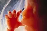 صحبتهای پدر درمورد کودک فریز شده