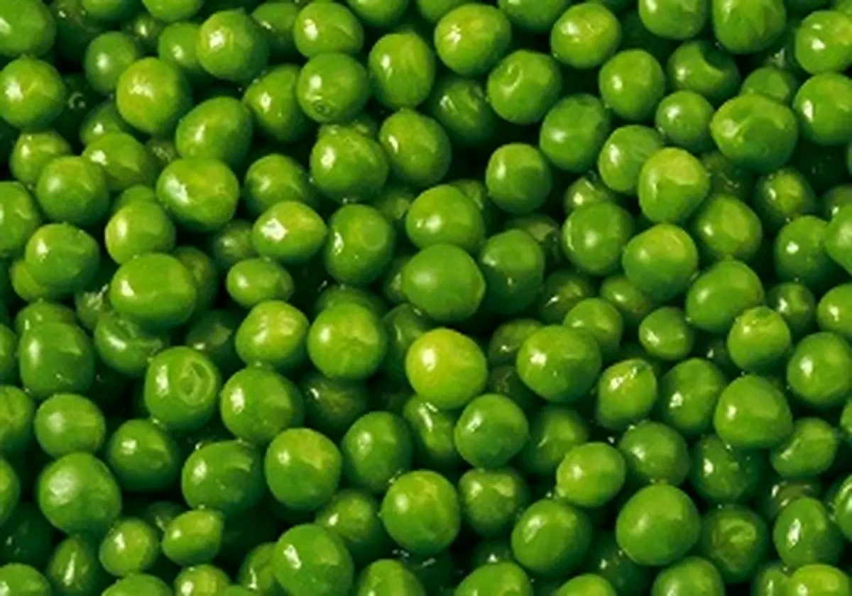 گوجه سبز کیلویی ۱۳۰ هزار تومان!