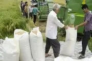 نحوه ترخیص برنج وارداتی تعیین شد + سند