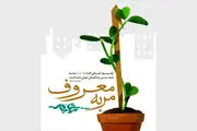 عملی که از جهاد و نماز هم بالاتر است