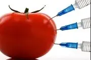 منافع چه کسانی با کشت و واردات محصولات تراریخته گره خورده است؟