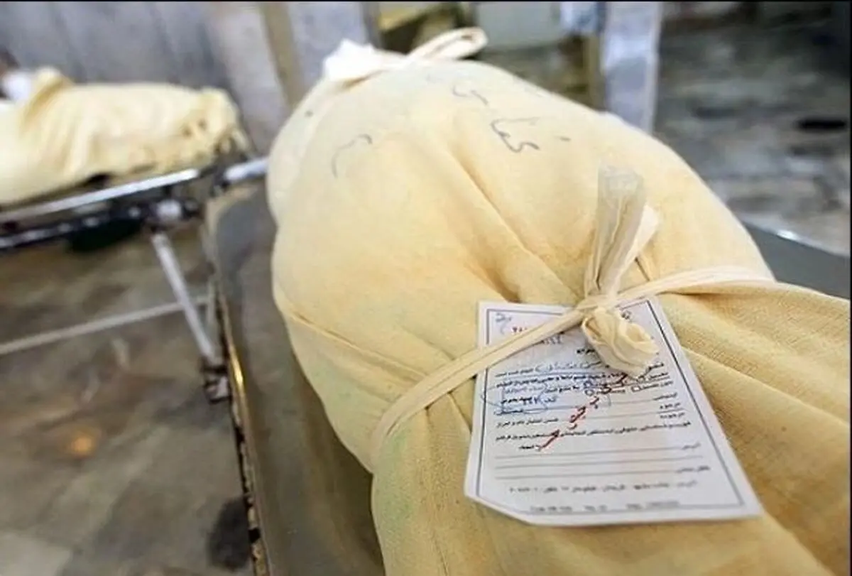 اقدامات بهشت زهرا در زمینه کفن و دفن اموات کرونایی قابل تقدیر است
