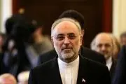 تاکید صالحی بر نقش ایران در کمک به سازمان ملل برای حل مسائل منطقه