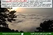 جنگل قطری هم رنگ ابر هم نوای باران+تصاویر