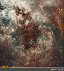 n00179173-r-b-014