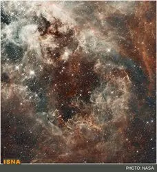 n00179173-r-b-014
