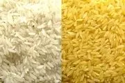 آیا تاجران تولید 