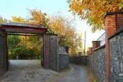 کوچه باغ‌ گردی پاییز/ گزارش تصویری