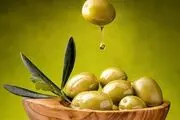 
افزایش ۲۵۰ درصدی تولید زیتون نسبت به سال قبل
