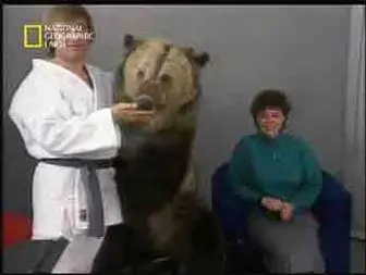 حمله خرس به زن در برنامه تلویزیونی