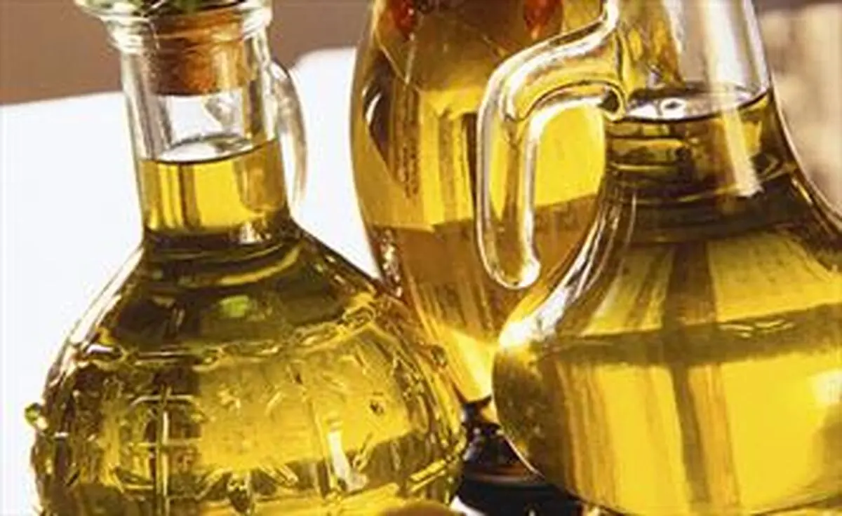 هفت برند روغن زیتون تقلبی اعلام شد + اسامی