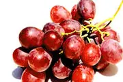 انگور قرمز با بیماری آلزایمر مبارزه می کند