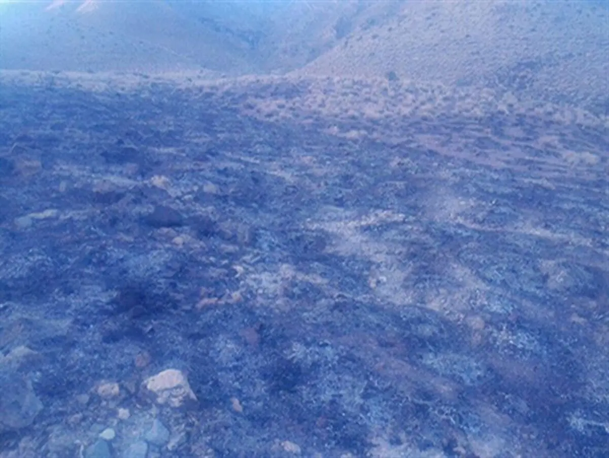 آتش سوزی در یکی از مراتع شهرستان راور+تصاویر